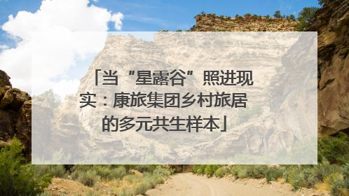 当“星露谷”照进现实：康旅集团乡村旅居的多元共生样本